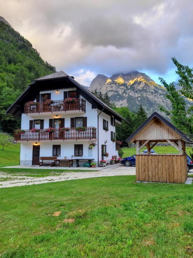 Apartments and rooms Kravanja Trenta Buitenkant foto